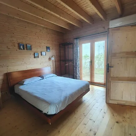 O Gato Do Campo * Viana do Castelo