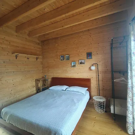 O Gato Do Campo * Viana do Castelo