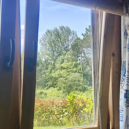 Appartamento O Gato Do Campo Viana do Castelo