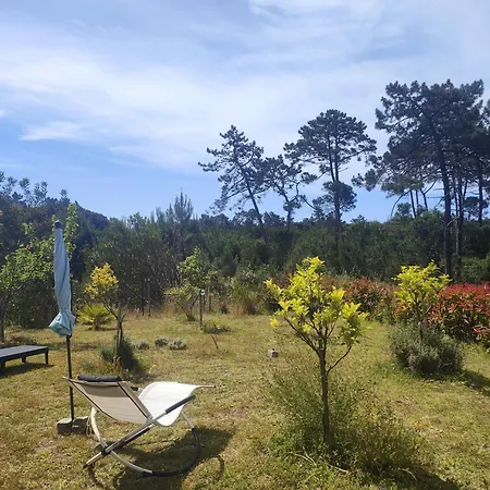 O Gato Do Campo Appartamento *