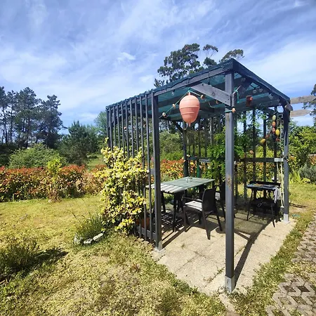 O Gato Do Campo Appartamento