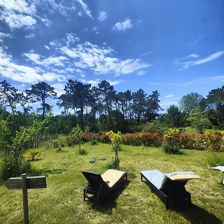 O Gato Do Campo Appartamento Viana do Castelo