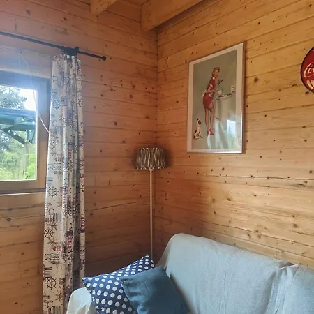 O Gato Do Campo Apartment Viana do Castelo