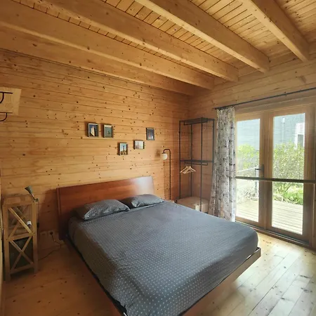 O Gato Do Campo Viana do Castelo