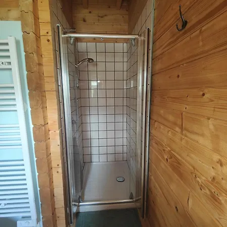 O Gato Do Campo * Viana do Castelo