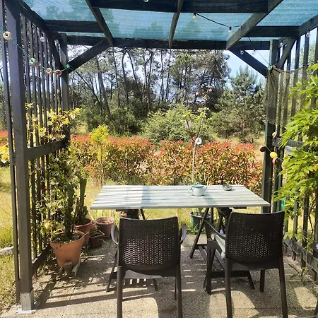 O Gato Do Campo Apartment *