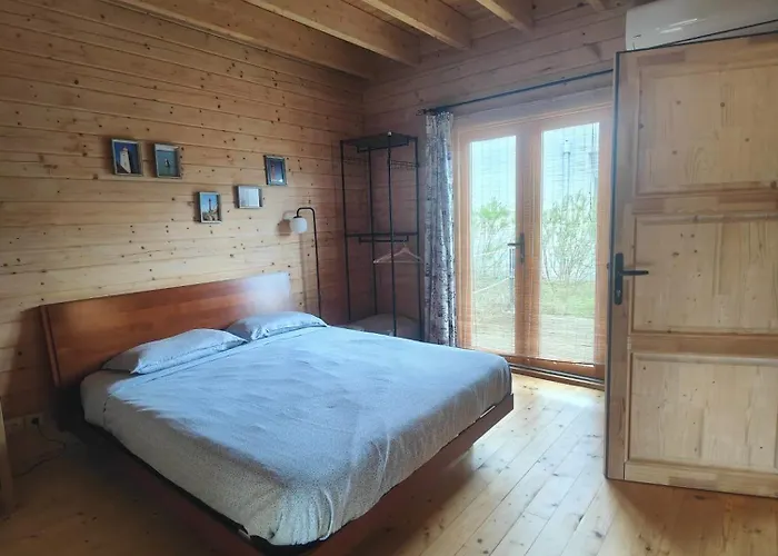 O Gato Do Campo * Viana do Castelo