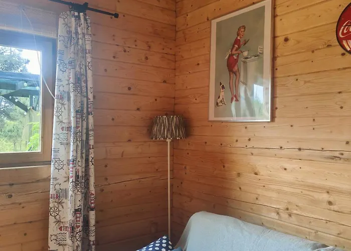 O Gato Do Campo Apartamento Viana do Castelo