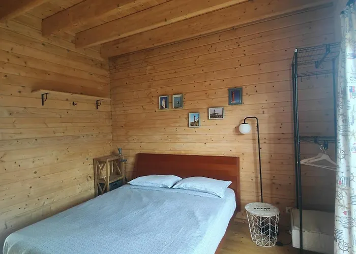 O Gato Do Campo * Viana do Castelo