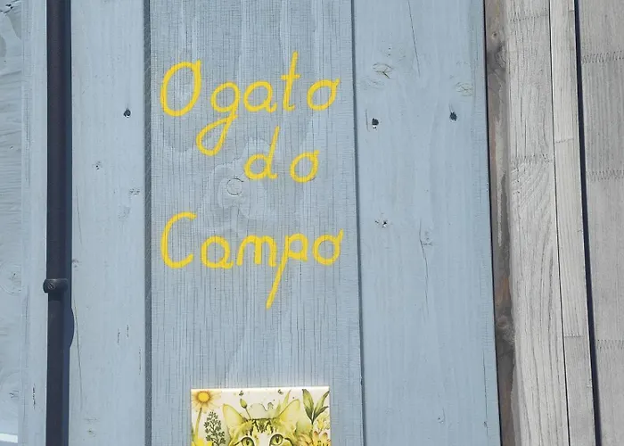 Apartamento O Gato Do Campo Viana do Castelo