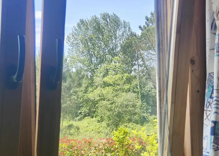 Apartamento O Gato Do Campo Viana do Castelo