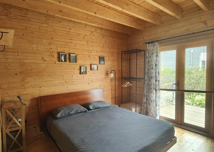 O Gato Do Campo Viana do Castelo