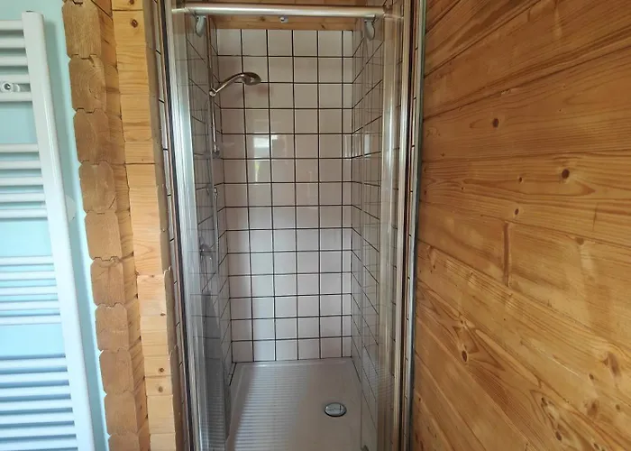 O Gato Do Campo * Viana do Castelo