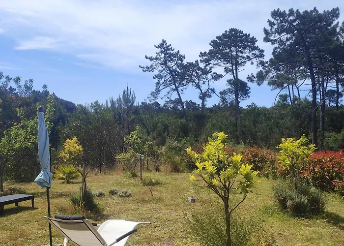 O Gato Do Campo Apartamento *