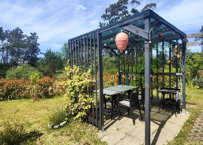 O Gato Do Campo Apartamento