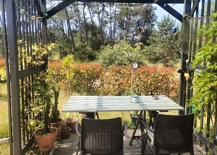 O Gato Do Campo Apartamento *