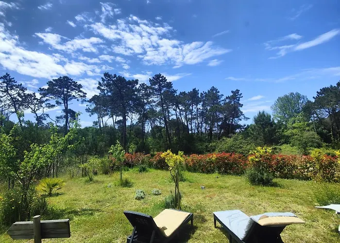 O Gato Do Campo Apartamento Viana do Castelo